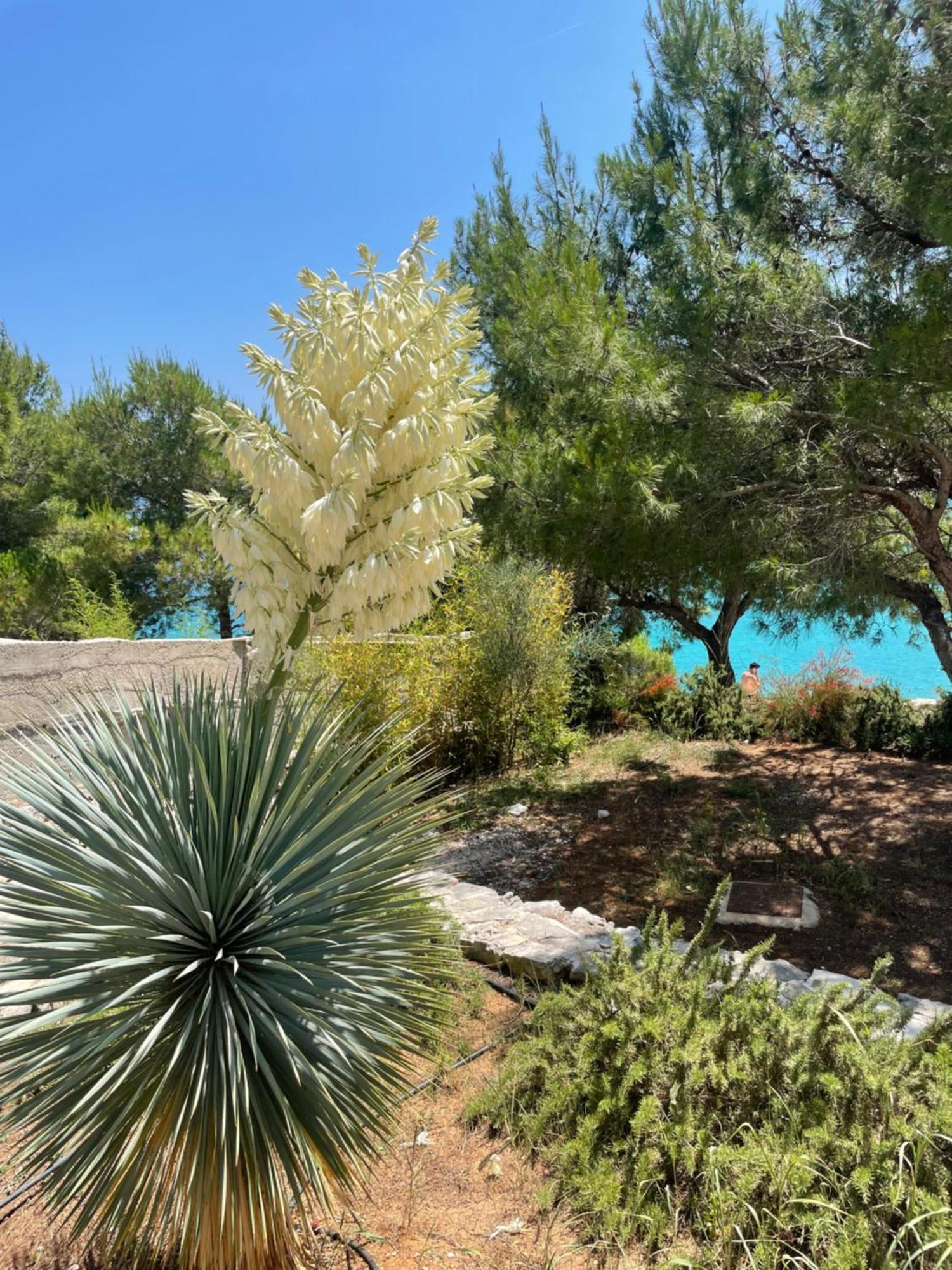 Luxury Villa Kate - In Lucice Bay With Turquoise Sea, Amazing Seaviews, And Heated Pool Milna (Brac) Exterior foto